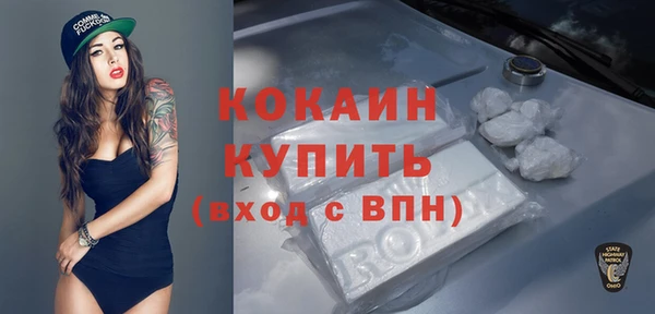 мескалин Няндома