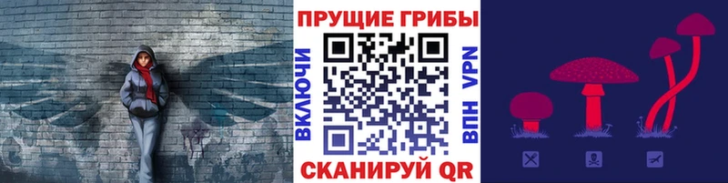 Псилоцибиновые грибы прущие грибы  купить  сайты  Новотроицк 