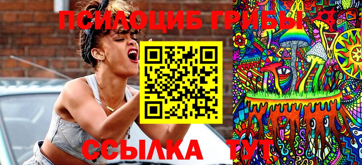 Псилоцибиновые грибы мицелий Новотроицк
