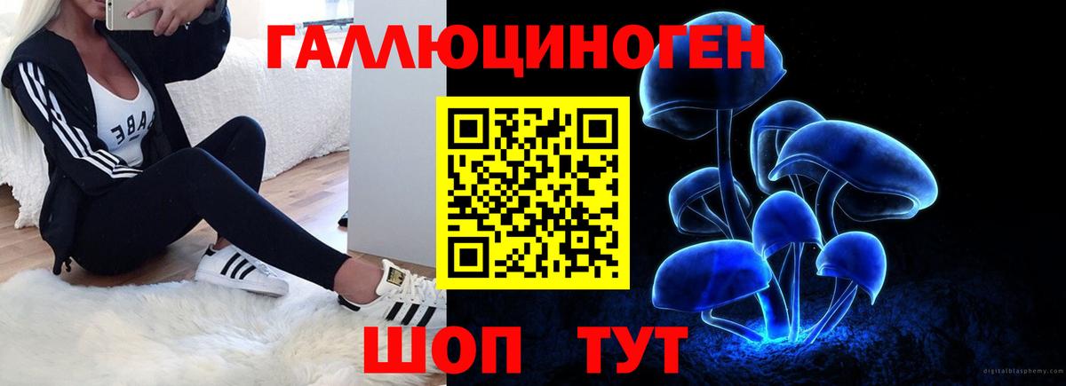 Новотроицк  Галлюциногенные грибы ЛСД  купить   Вход с VPN  Галлюциногенные грибы мицелий 